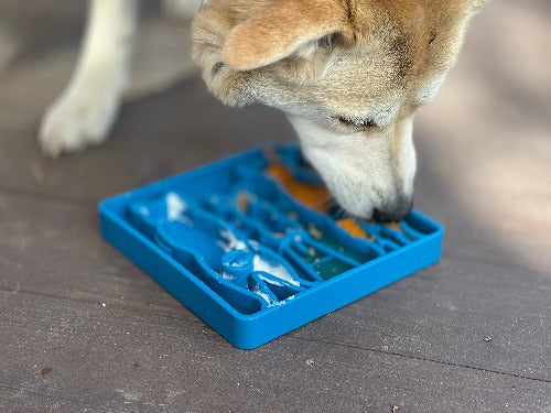 Waiting Dogs eTray - Shallow Slow Feeder Bowl for Enrichment | USA Made by SodaPup/True Dogs, LLC