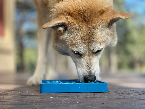 Waiting Dogs eTray - Shallow Slow Feeder Bowl for Enrichment | USA Made by SodaPup/True Dogs, LLC