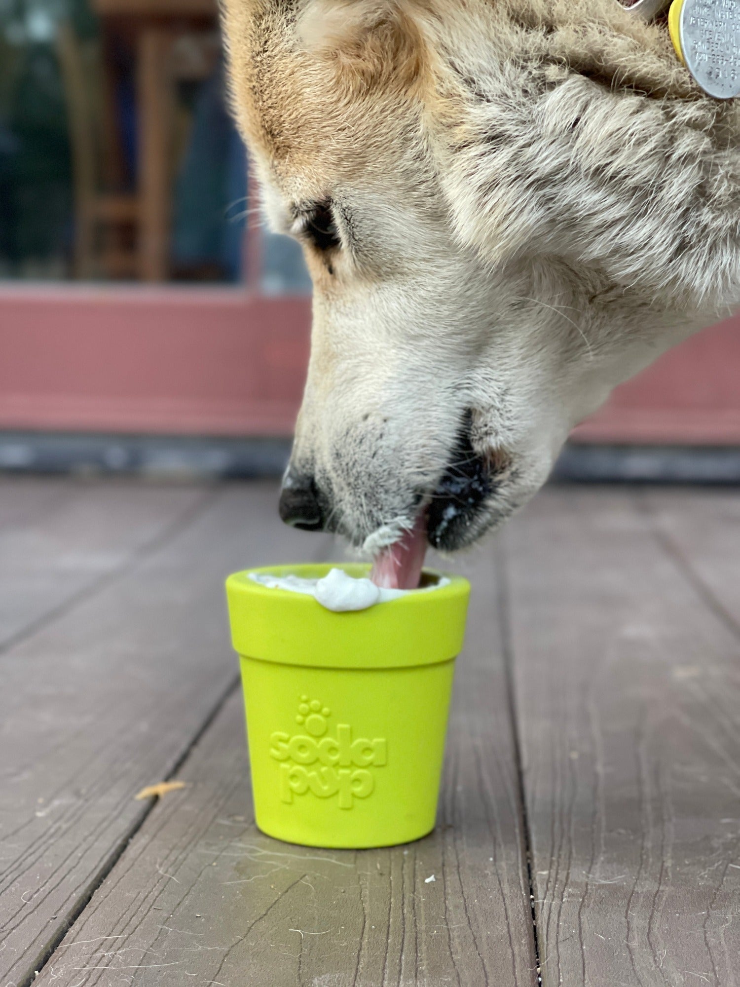 Large Flower Pot eCup Dog Treat Dispenser | Durable USA-Made Enrichment Toy | SodaPup by SodaPup/True Dogs, LLC