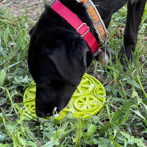 Citrus Design eMat - Enrichment Lick Mat For Dogs and Cats - with Suction Cups | USA Made by SodaPup/True Dogs, LLC