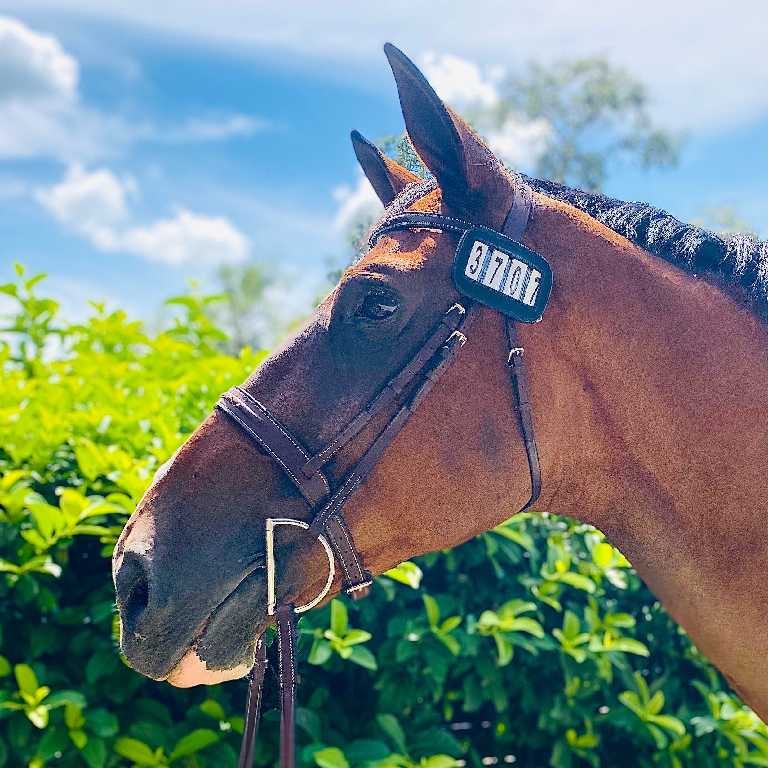 PRO4MANCE | # I.D. - Black (Qty. 2, 4-digit)