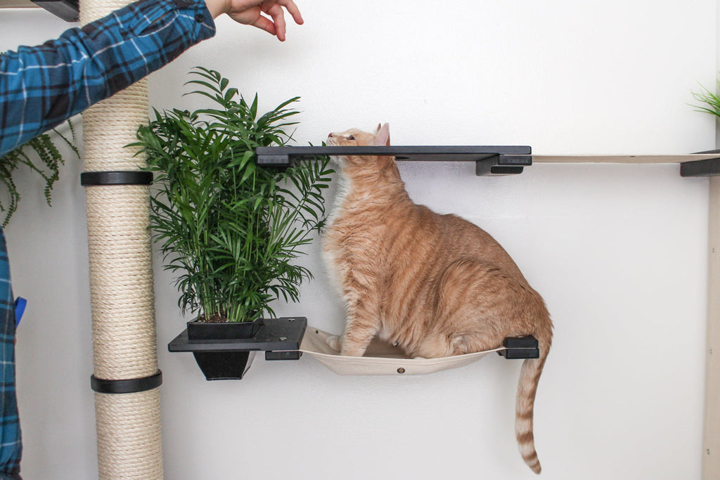 The Gardens - Modern Cat Tree with Plants by Catastrophic Creations