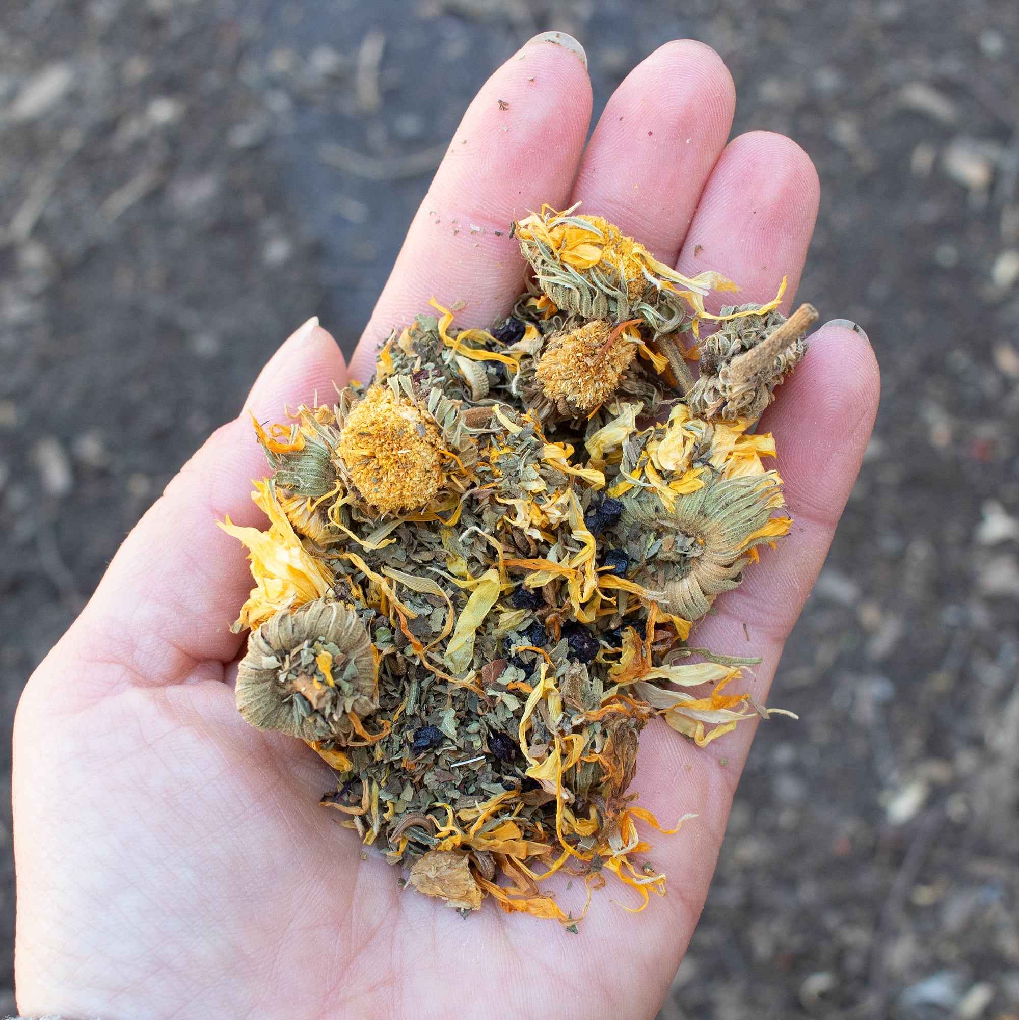 StrongHen Herbs For Backyard Chickens, Coops, & Nesting Boxes by Dahlia Pets