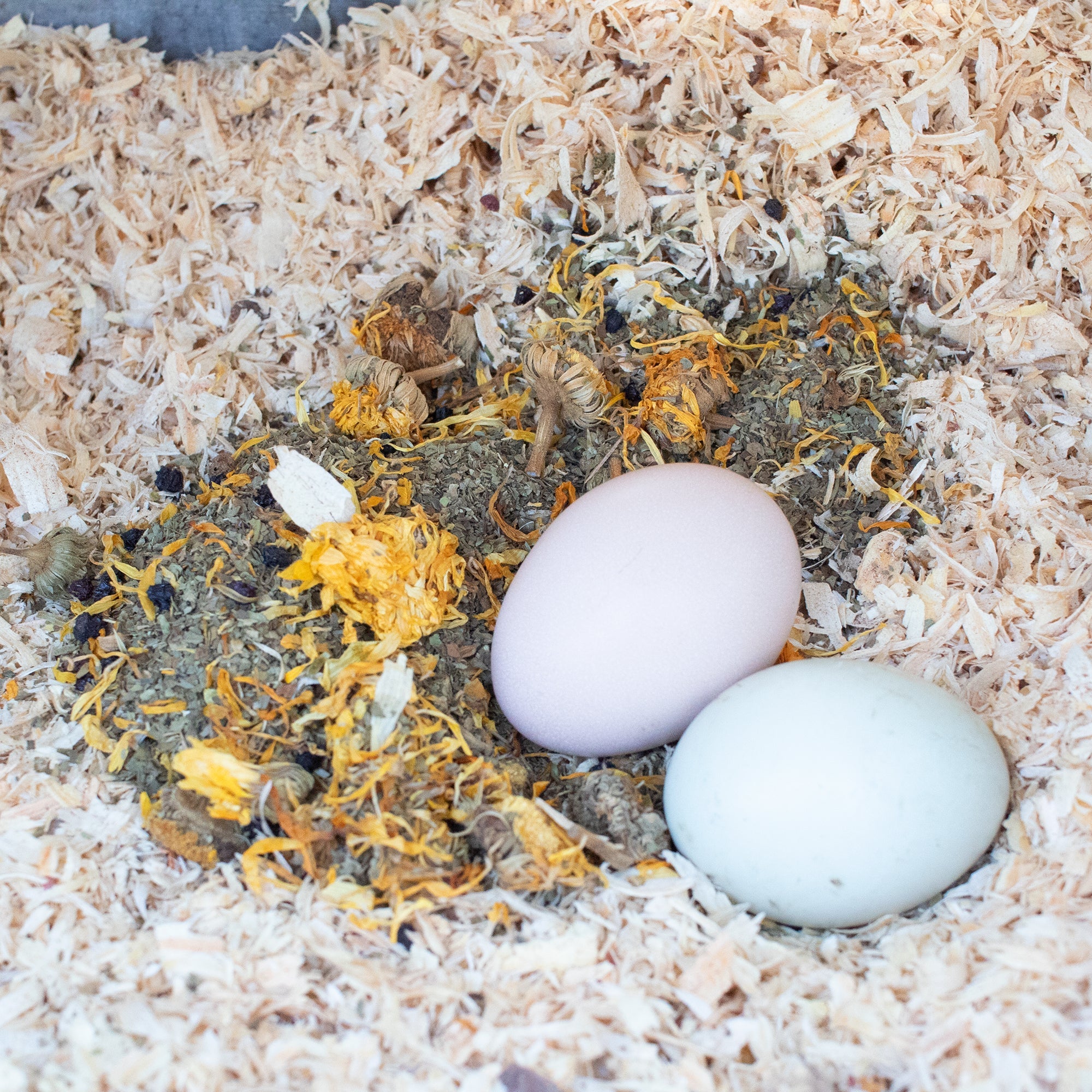 StrongHen Herbs For Backyard Chickens, Coops, & Nesting Boxes by Dahlia Pets