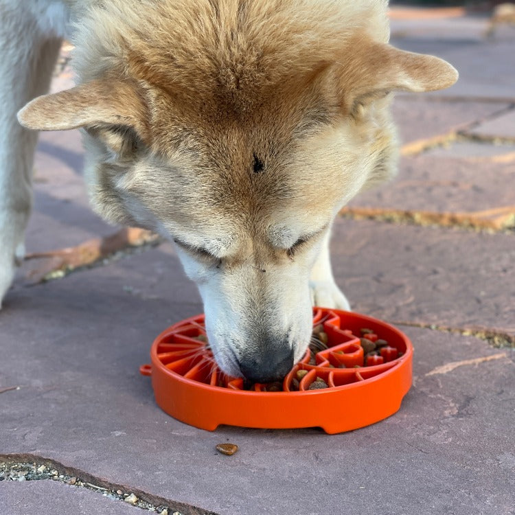 Sun and Moon eTray - Shallow Slow Feeder Dog Bowl for Enrichment | USA Made by SodaPup/True Dogs, LLC