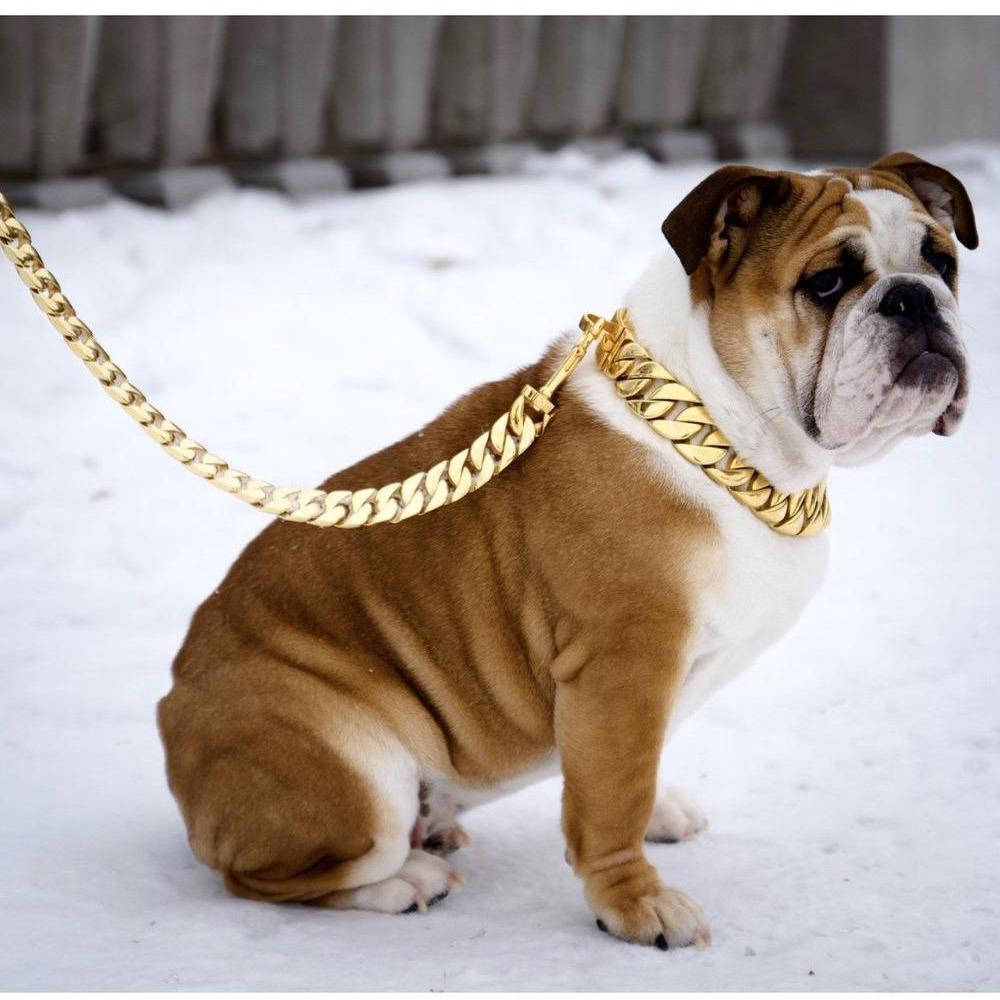 Kilo Cuban Link | Leash by Furr Baby Gifts
