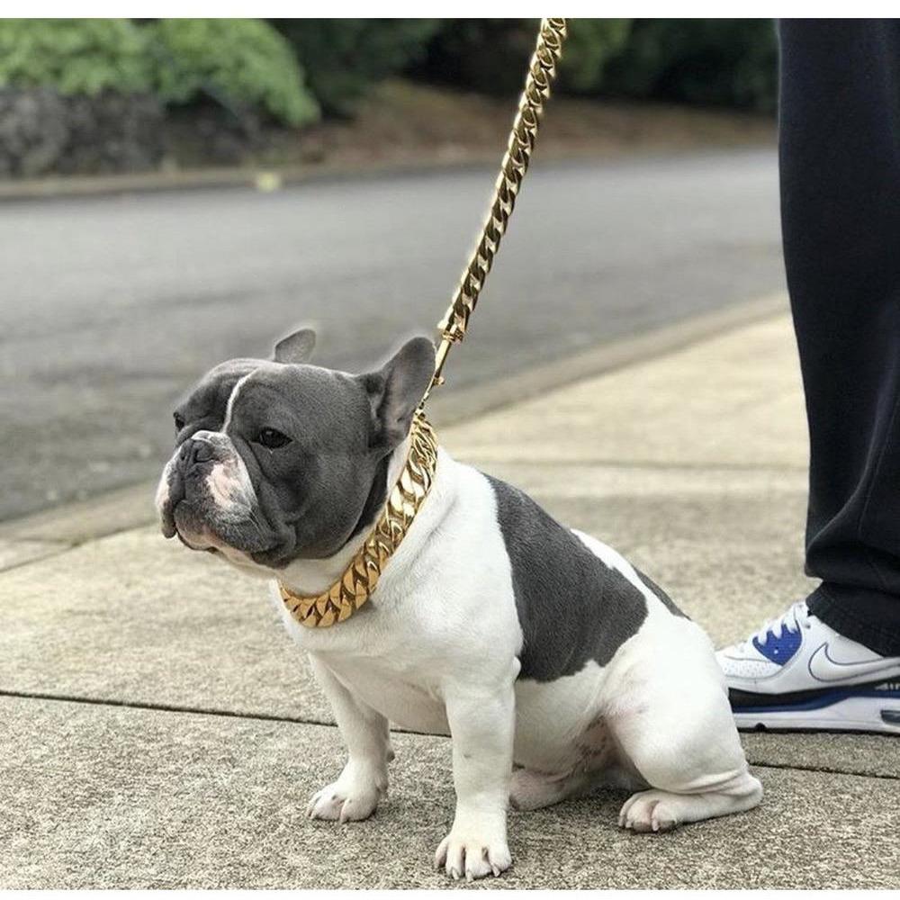 Kilo Cuban Link | Leash by Furr Baby Gifts
