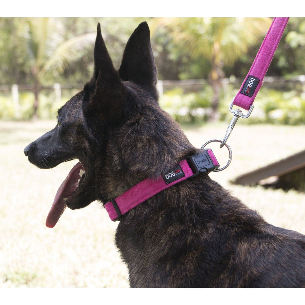 Comfort Microfiber Flat Dog Collar by Dogline