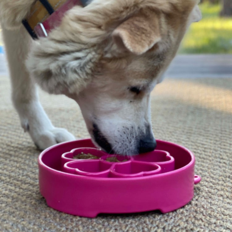 Flower eBowl Deep Slow Feeder Dog Bowl for Enrichment | USA Made by SodaPup/True Dogs, LLC