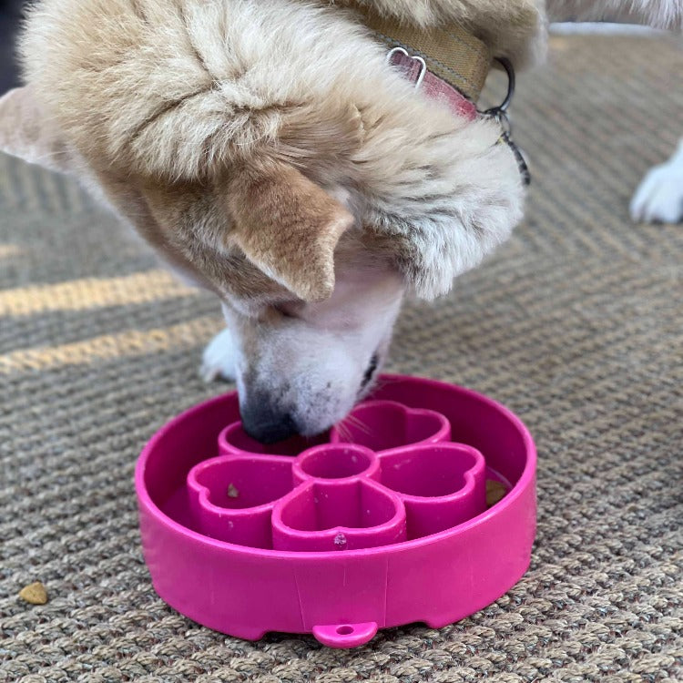 Flower eBowl Deep Slow Feeder Dog Bowl for Enrichment | USA Made by SodaPup/True Dogs, LLC