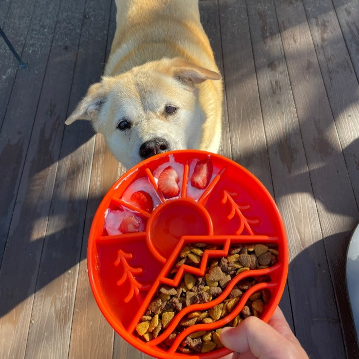 Great Outdoors eBowl - Slow Feeder Dog Bowl & Enrichment | USA Made by SodaPup/True Dogs, LLC