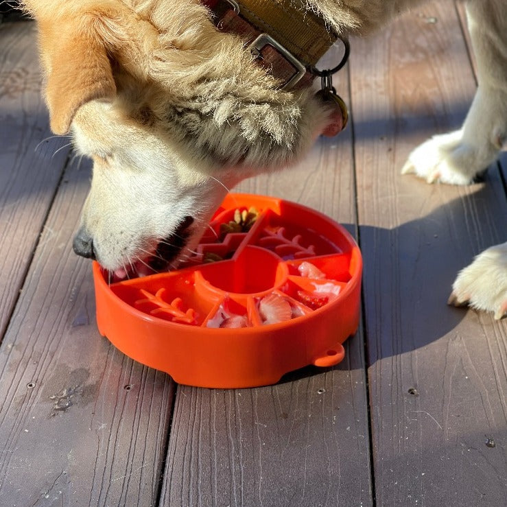 Great Outdoors eBowl - Slow Feeder Dog Bowl & Enrichment | USA Made by SodaPup/True Dogs, LLC