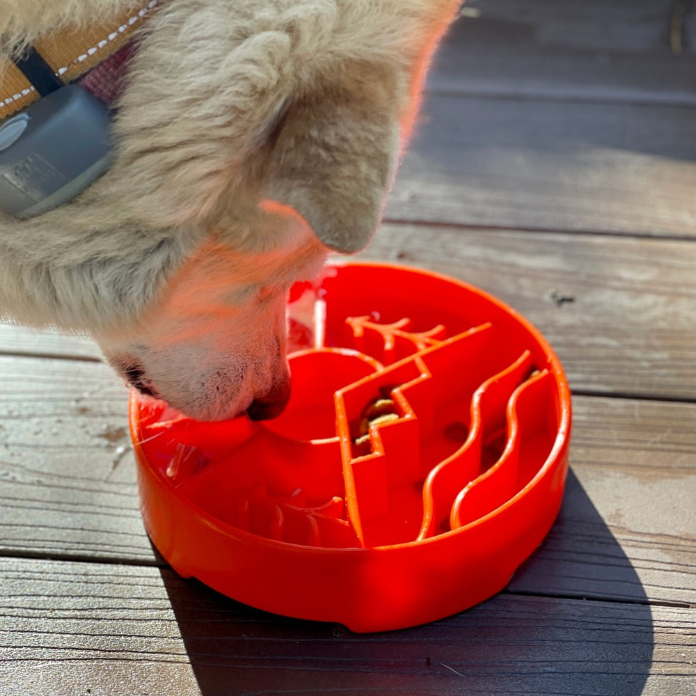 Great Outdoors eBowl - Slow Feeder Dog Bowl & Enrichment | USA Made by SodaPup/True Dogs, LLC