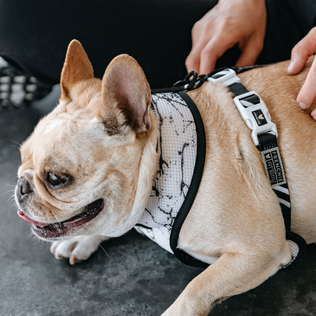 Frenchie Duo Reversible Harness - Black Marble by Frenchie Bulldog