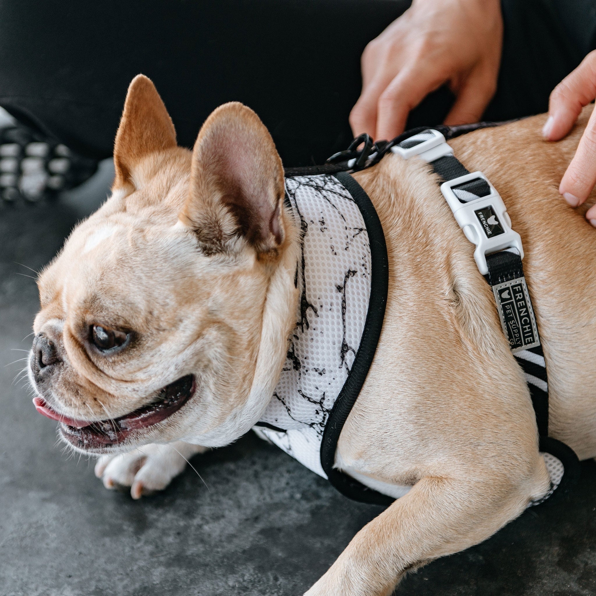 Frenchie Duo Reversible Harness - Black Marble by Frenchie Bulldog