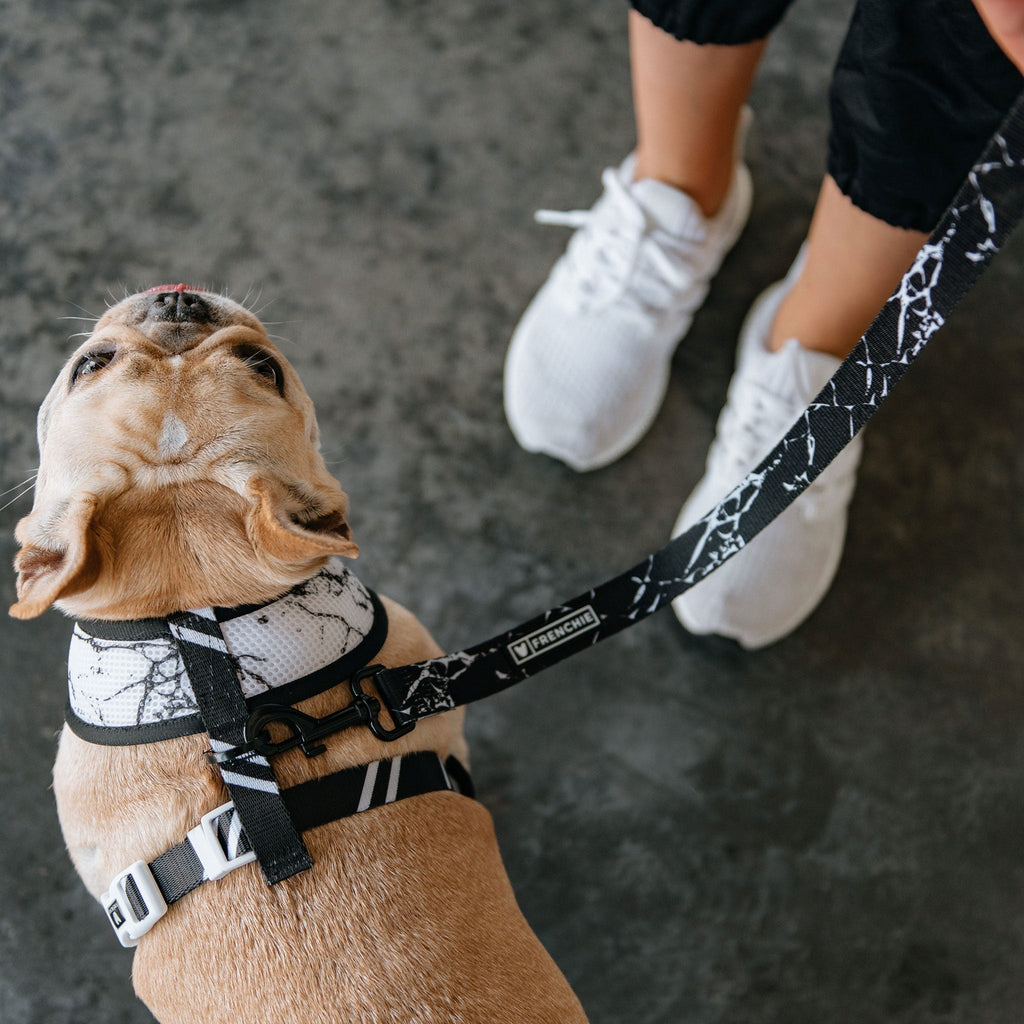 Frenchie Duo Reversible Harness - Black Marble by Frenchie Bulldog