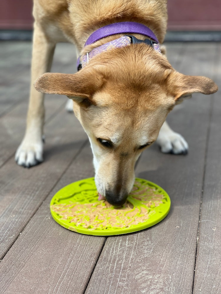 Tree of Life eMat - Enrichment Lick Mat For Dogs and Cats - With Suction Cups | Tree Design | USA Made by SodaPup/True Dogs, LLC