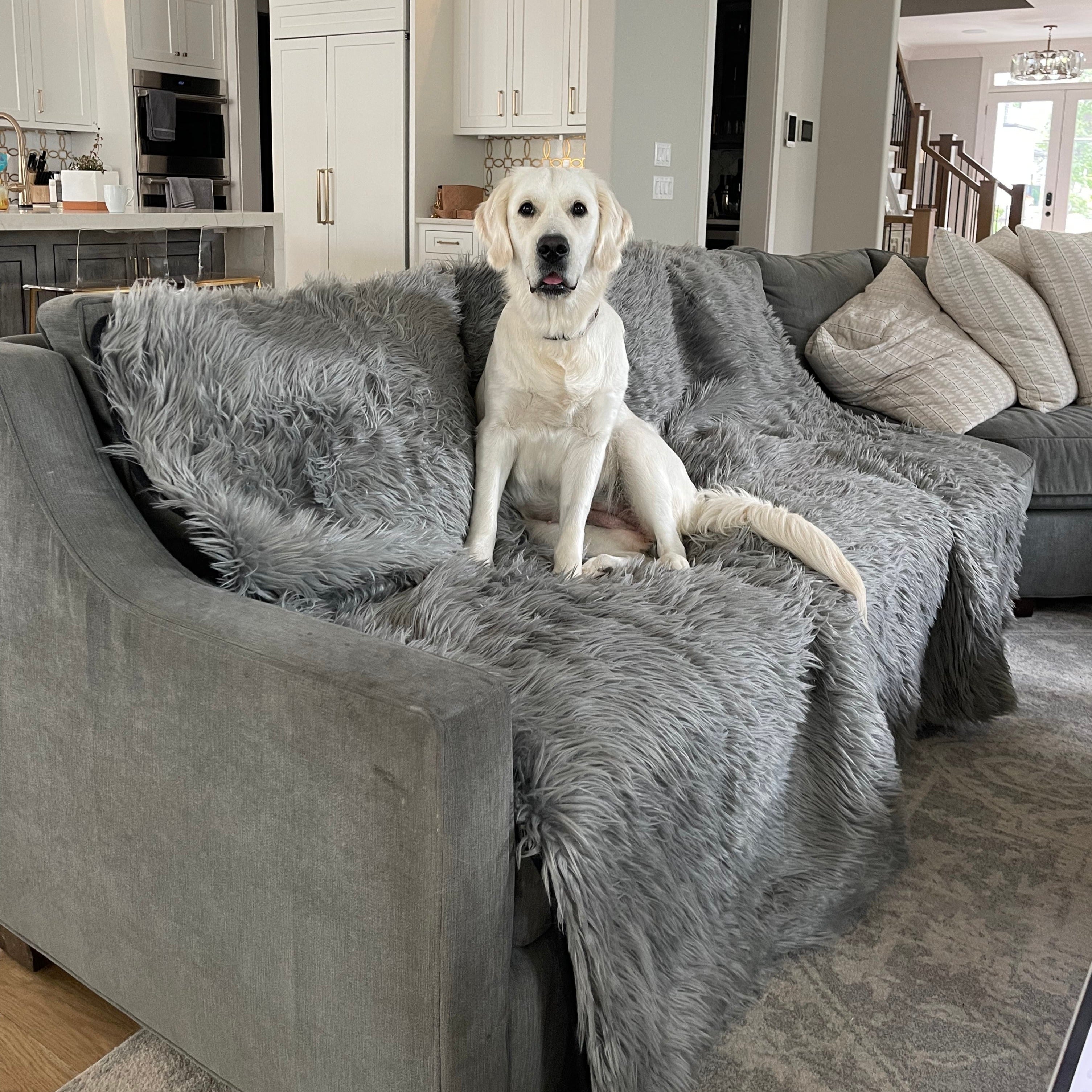 PupProtector™ Waterproof Throw Blanket - Charcoal Grey by Paw.com
