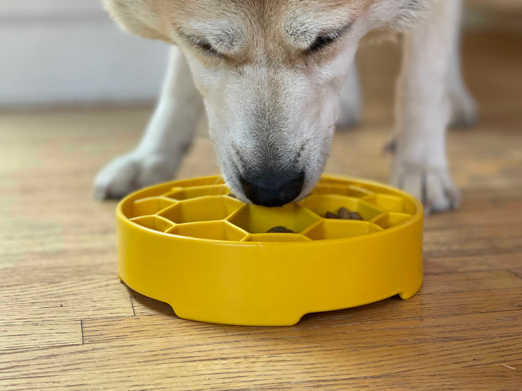 Honeycomb eBowl Deep Slow Feeder Dog Bowl for Enrichment | USA Made by SodaPup/True Dogs, LLC