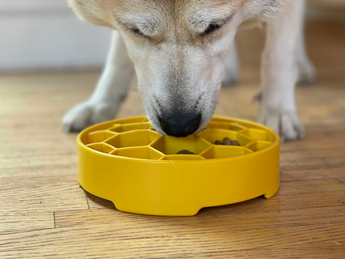 Honeycomb eBowl Deep Slow Feeder Dog Bowl for Enrichment | USA Made by SodaPup/True Dogs, LLC