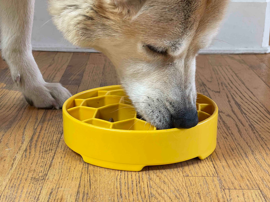 Honeycomb eBowl Deep Slow Feeder Dog Bowl for Enrichment | USA Made by SodaPup/True Dogs, LLC