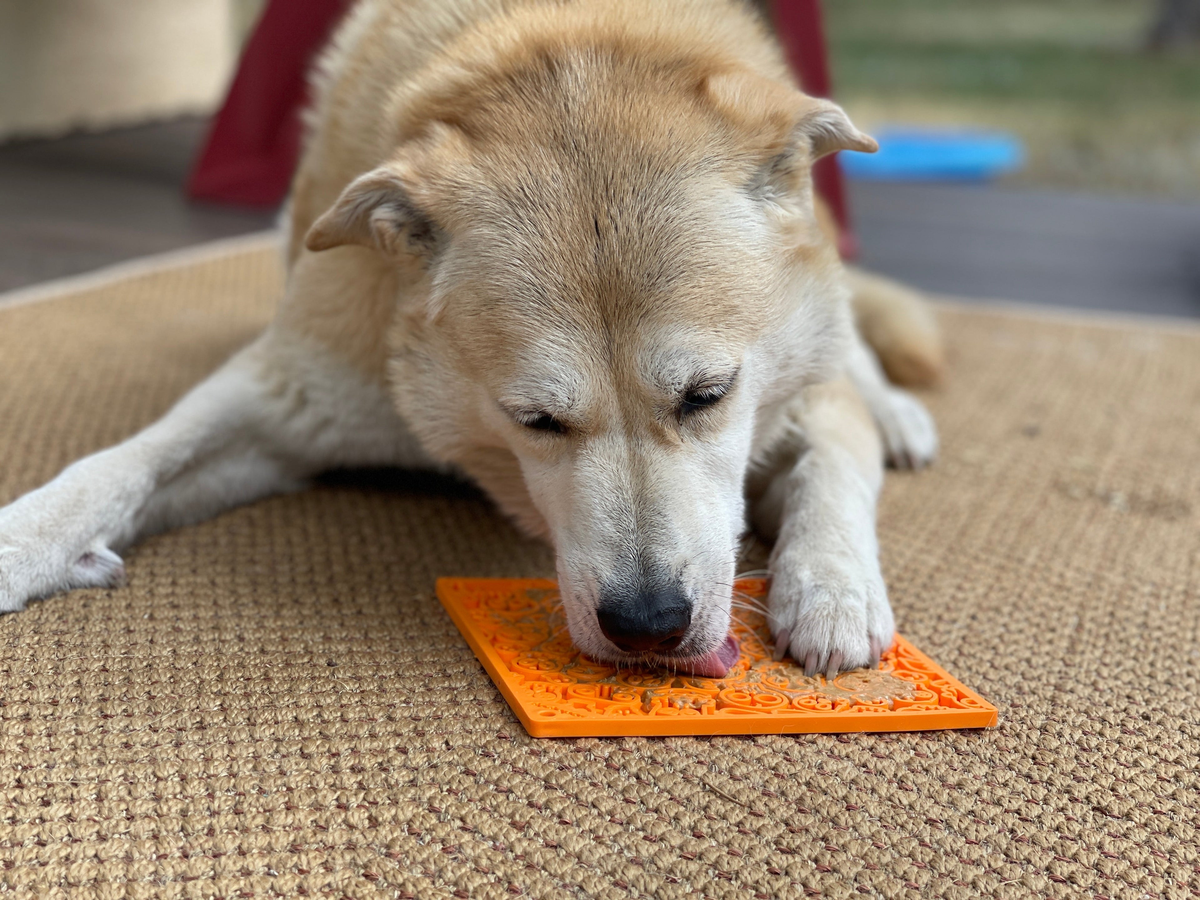 Zombie eMat - Enrichment Lick Mat for Dogs and Cats | Halloween Skull Design | SodaPup by SodaPup/True Dogs, LLC