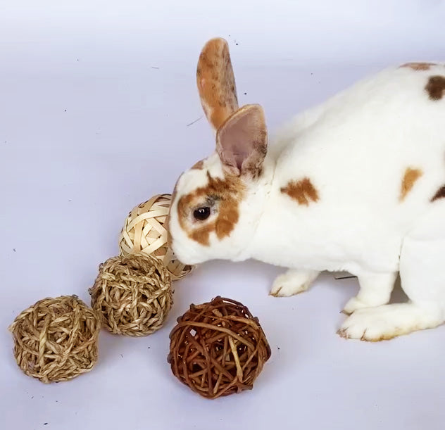 BunLuv Sea Grass Ball Chew Toy For Rabbits by Dahlia Pets