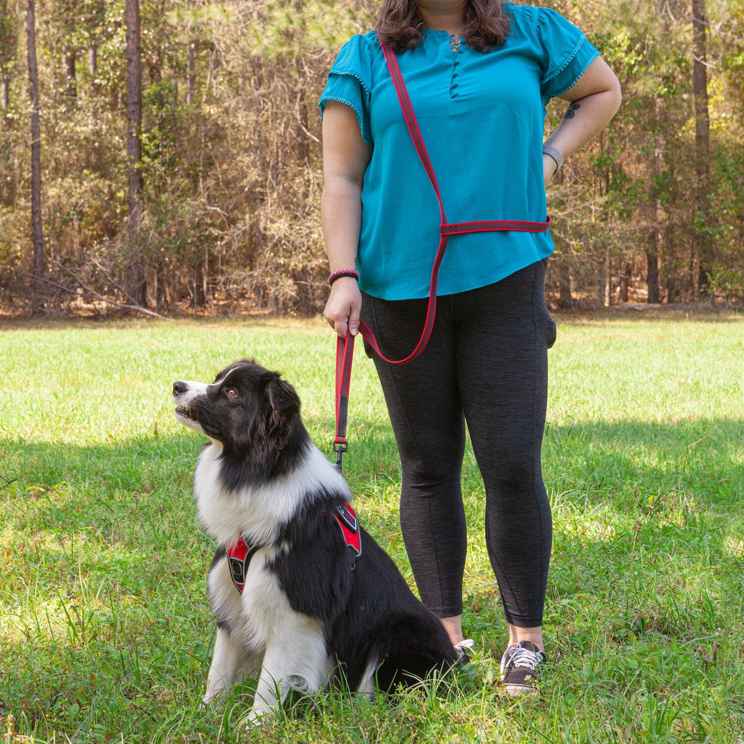 Rubber Infused Nylon Multifunctional Dog Leash for Walking and Running Hands Free by Dogline