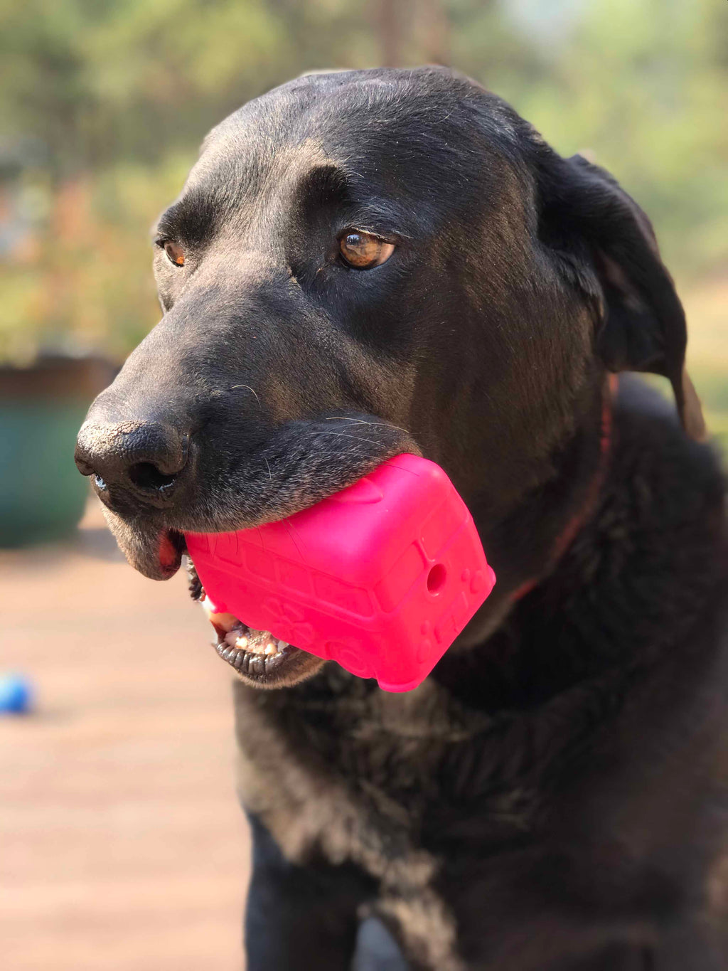Surf's Up! Retro Van Dog Toy - Durable Chew Toy for Large Dogs | USA Made by SodaPup/True Dogs, LLC