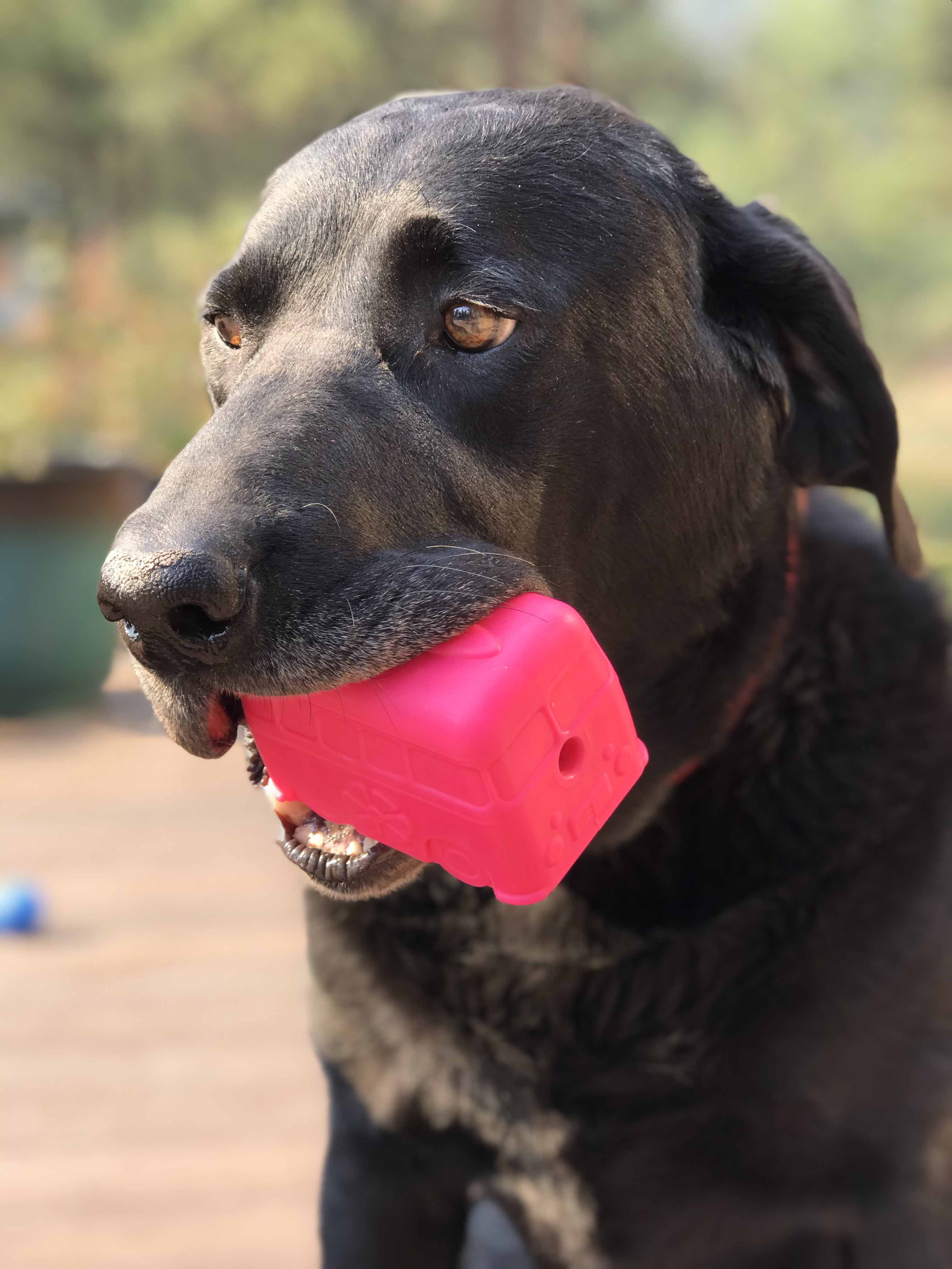 Surf's Up! Retro Van Dog Toy - Durable Chew Toy for Large Dogs | USA Made by SodaPup/True Dogs, LLC