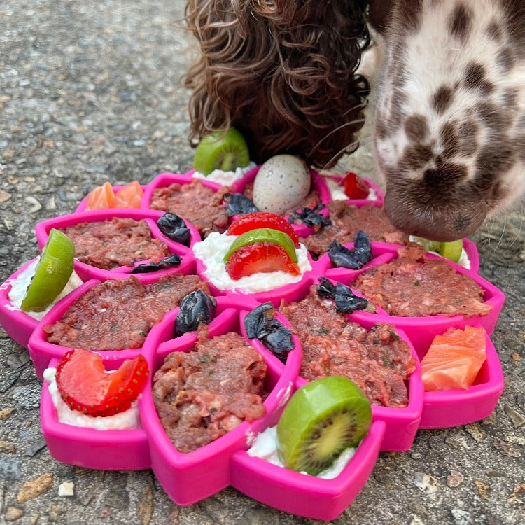Mandala eTray Shallow Slow Feeder Dog Bowl for Enrichment | USA Made by SodaPup/True Dogs, LLC