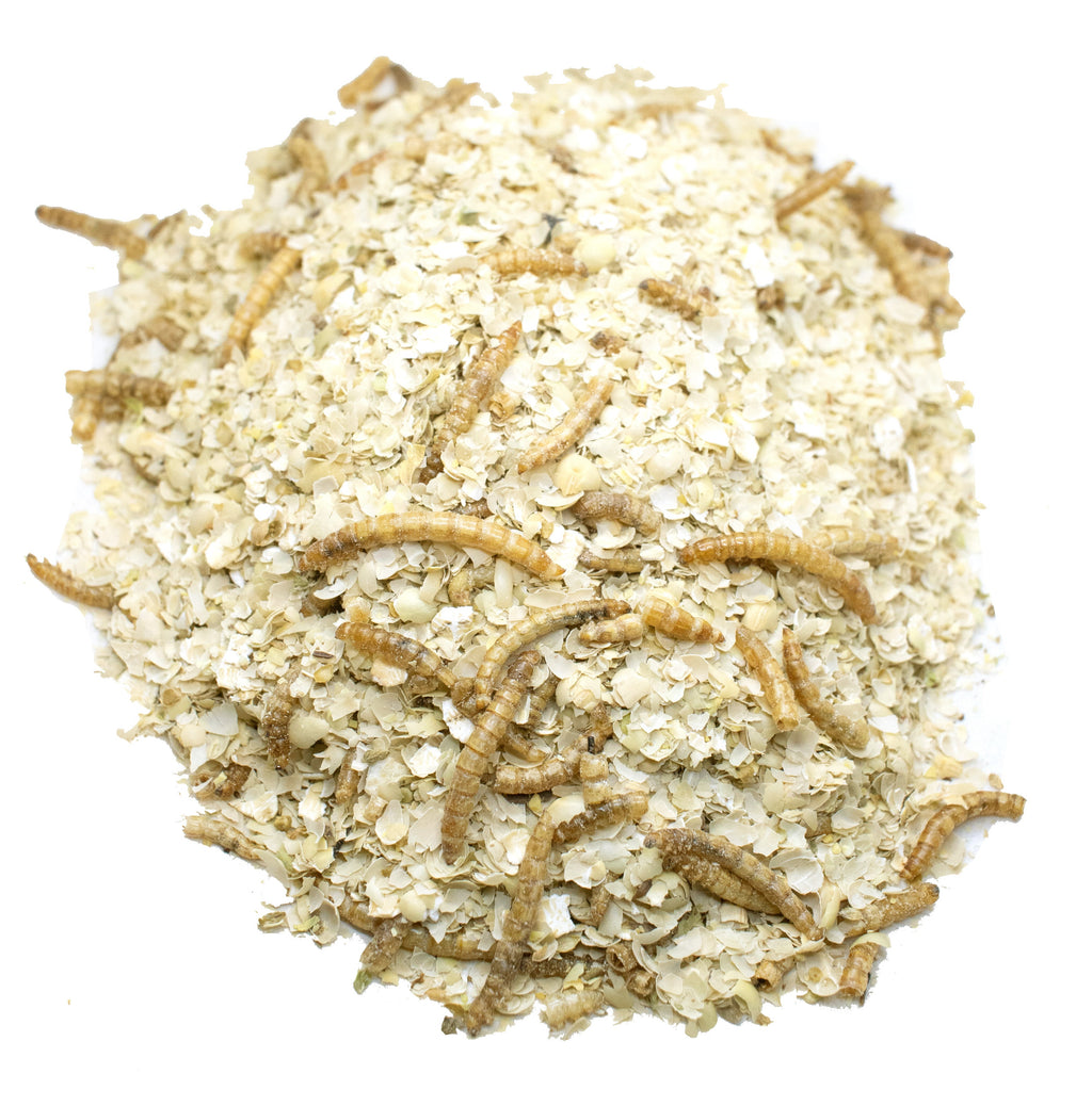 Luv U Much Mealworm & BloomGrubs Treat: Just Mix With Water For A Fun Treat! by Dahlia Pets