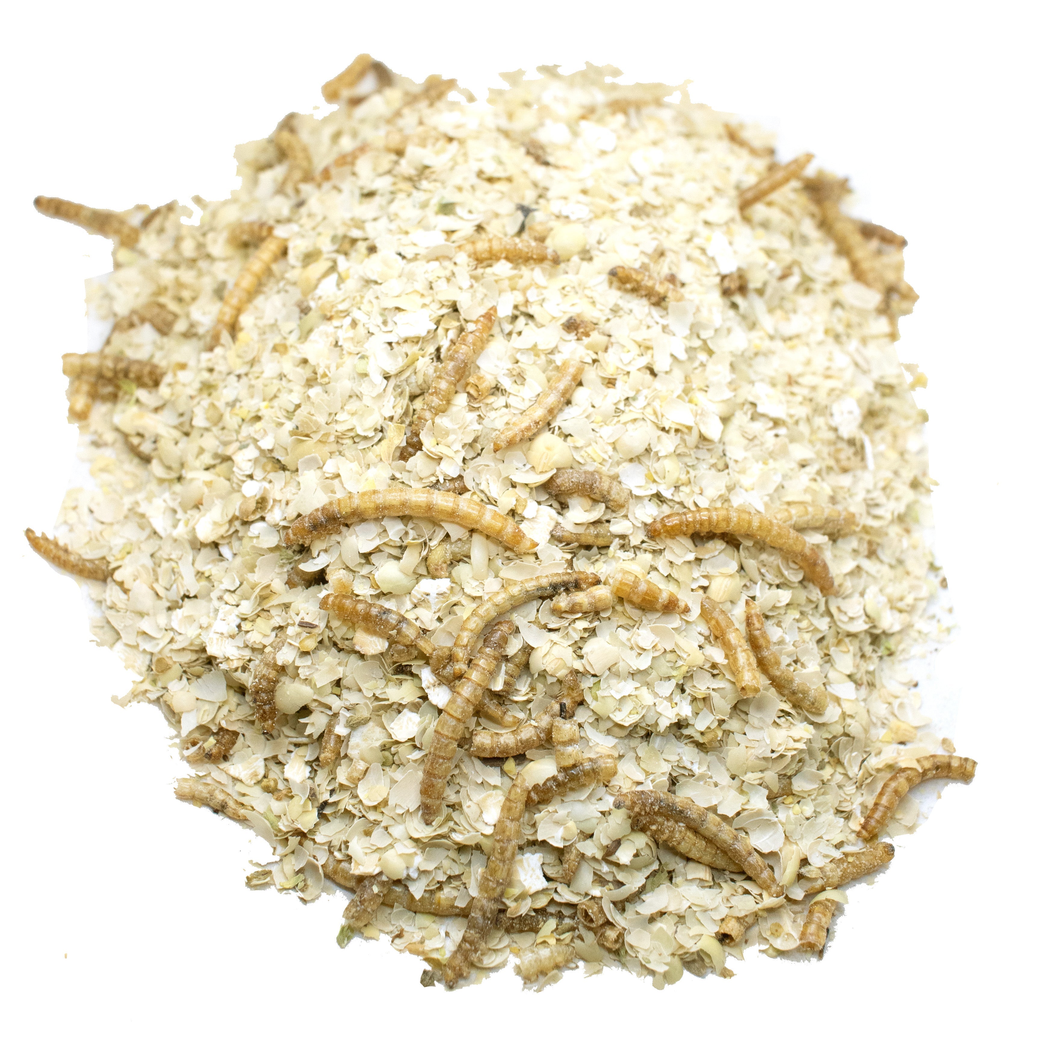 Luv U Much Mealworm & BloomGrubs Treat: Just Mix With Water For A Fun Treat! by Dahlia Pets