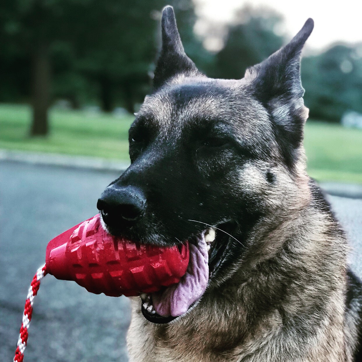 USA-K9 Grenade Shaped Rubber Dog Toy - Chew, Treat Dispenser & Tug Toy | USA - Army Green by SodaPup/True Dogs, LLC