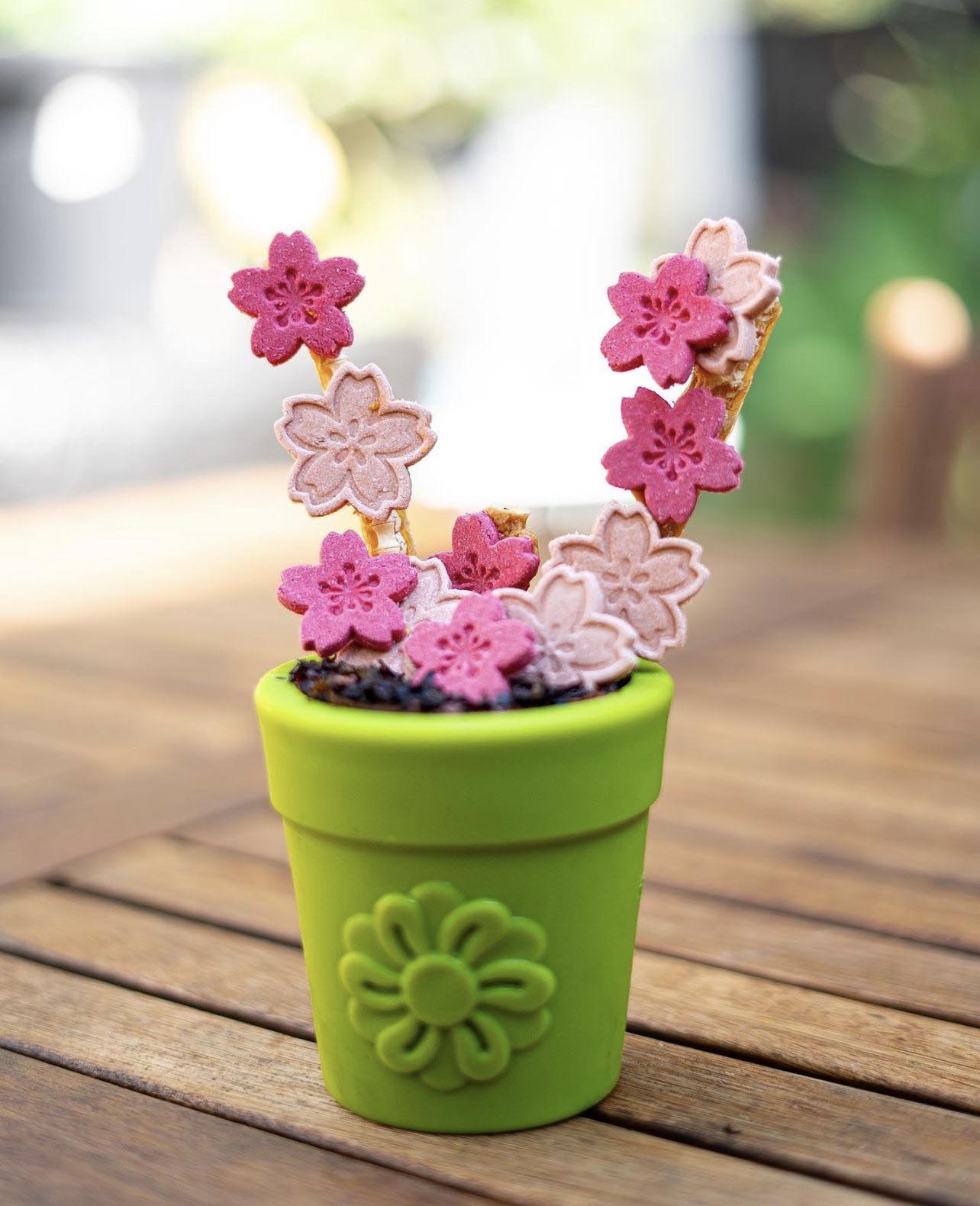 Large Flower Pot eCup Dog Treat Dispenser | Durable USA-Made Enrichment Toy | SodaPup by SodaPup/True Dogs, LLC