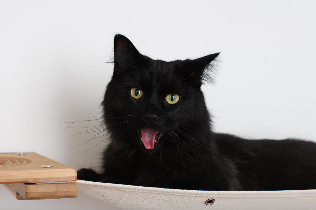 Cat Maze Wall - 3 Tier Cat Tree by Catastrophic Creations