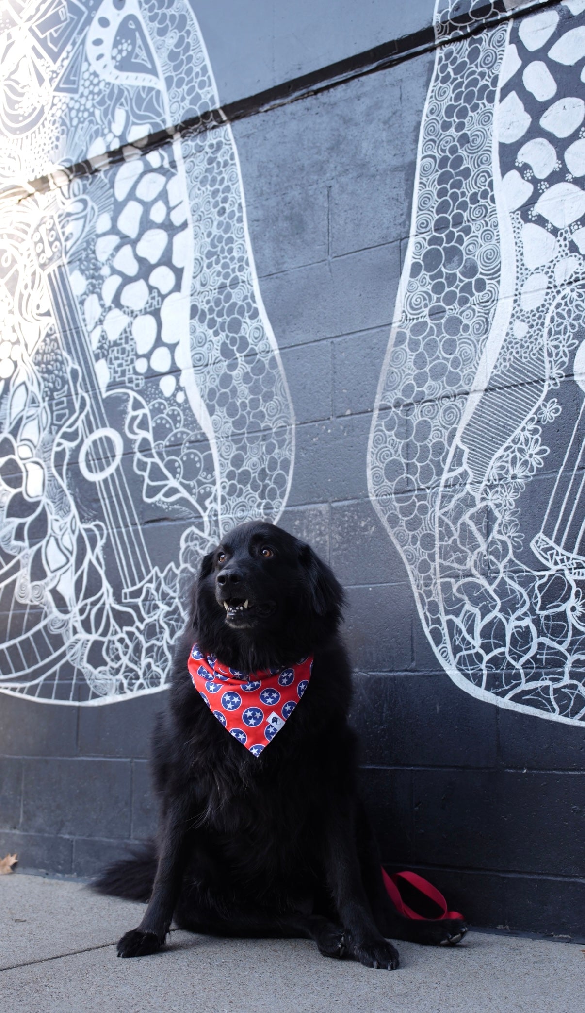 Nashville Tennessee Dog Bandana by Dog Bandana Co.