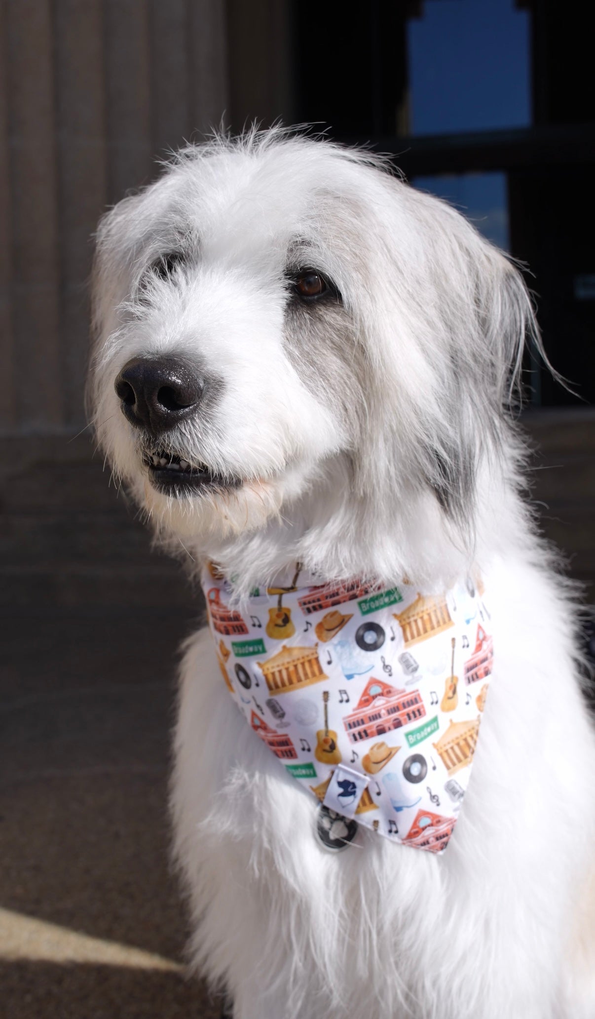 Nashville Tennessee Dog Bandana by Dog Bandana Co.