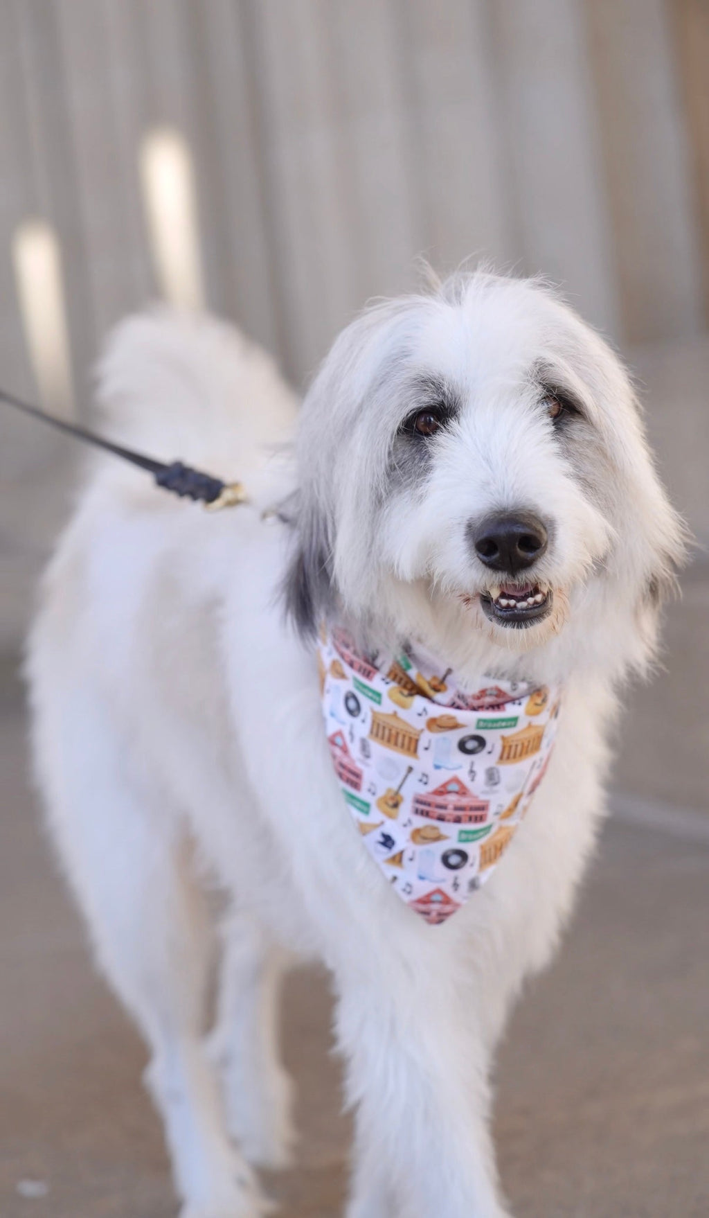 Nashville Tennessee Dog Bandana by Dog Bandana Co.