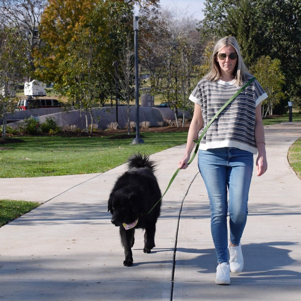 4x1 Waterproof Hands Free Dog Leash by Dog Bandana Co.