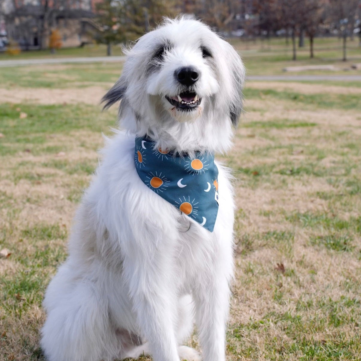 Blue Moon & Lightning Dog Bandana