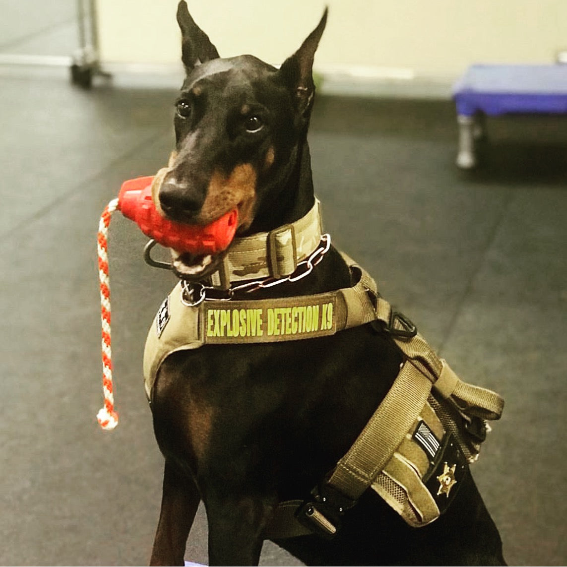USA-K9 Magnum Grenade - Black Magnum Rubber Chew Toy for Extreme Chewers | USA Made by SodaPup/True Dogs, LLC