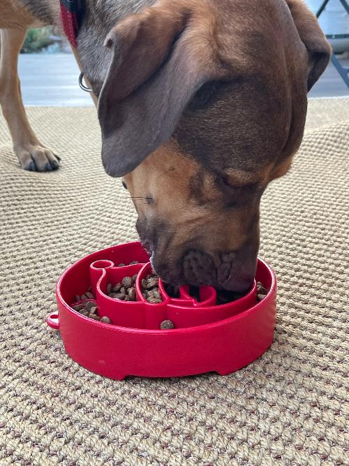 Santa Christmas eBowl Deep Slow Feeder Dog Bowl for Enrichment | USA Made by SodaPup/True Dogs, LLC