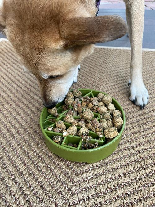 Pine Tree Christmas eBowl Deep Slow Feeder Dog Bowl for Enrichment | USA Made by SodaPup/True Dogs, LLC