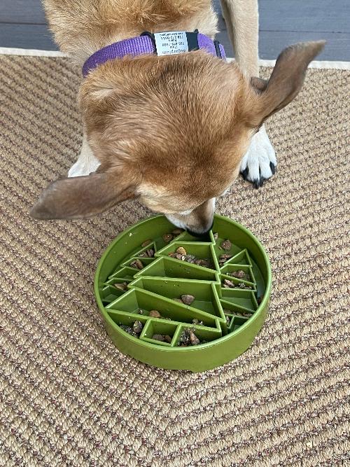 Pine Tree Christmas eBowl Deep Slow Feeder Dog Bowl for Enrichment | USA Made by SodaPup/True Dogs, LLC