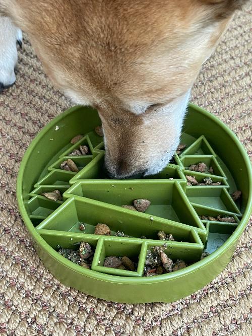 Pine Tree Christmas eBowl Deep Slow Feeder Dog Bowl for Enrichment | USA Made by SodaPup/True Dogs, LLC