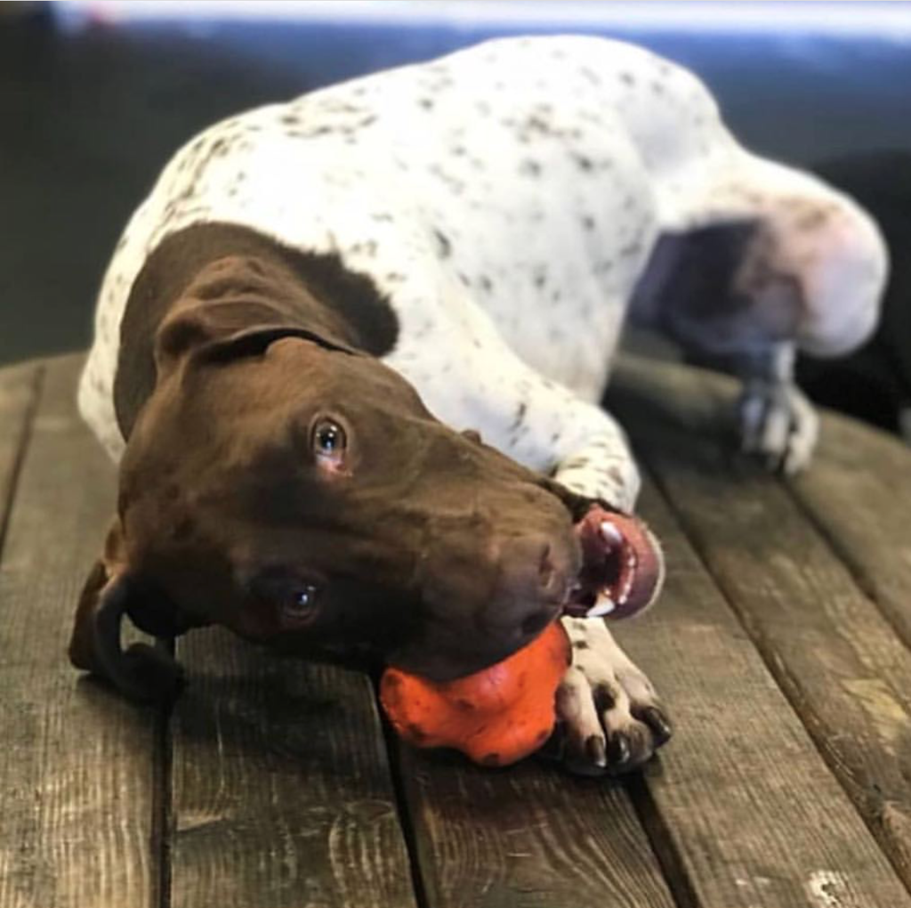 Crazy Bounce Rubber Dog Chew Toy for Power Chewers | Retrieving Ball | USA Made by SodaPup/True Dogs, LLC