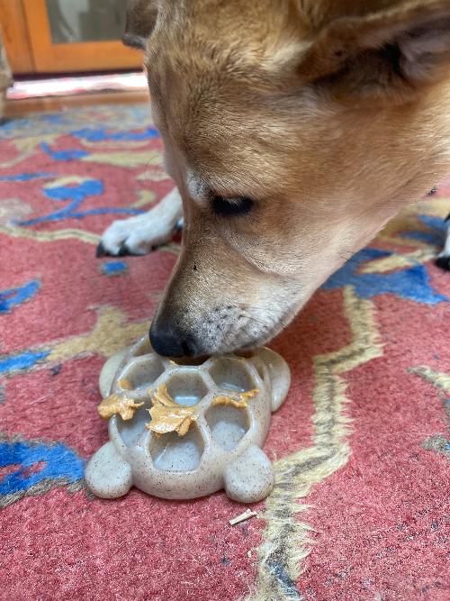 Turtle Nylon Chew Toy - Ultra-Durable Enrichment Toy for Power Chewers USA by SodaPup/True Dogs, LLC