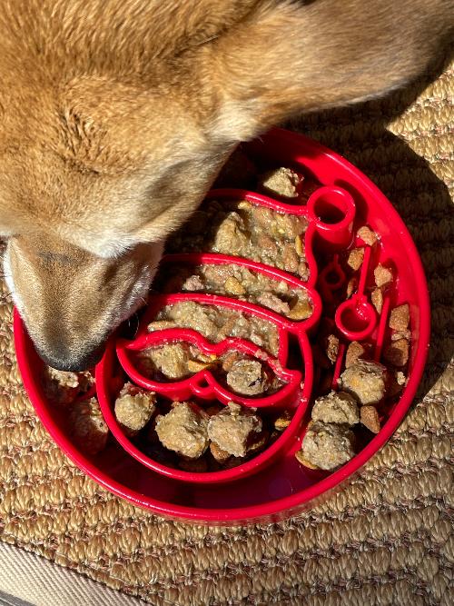 Santa Christmas eBowl Deep Slow Feeder Dog Bowl for Enrichment | USA Made by SodaPup/True Dogs, LLC