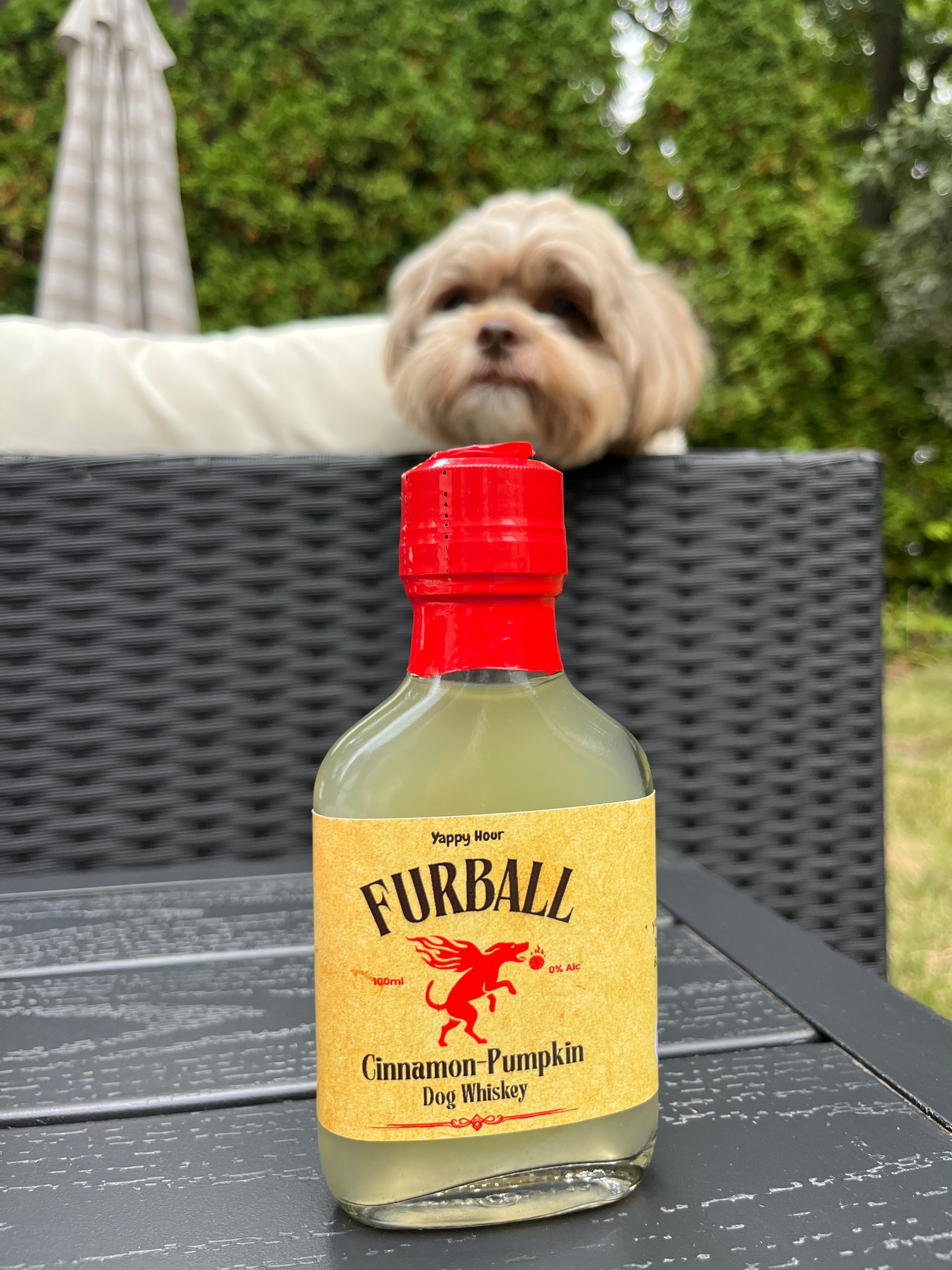 Furball Dog Whiskey Miniatures 4ct by Yappy Hour